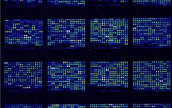 Figure 2 – DNA Sequencing microarray chips under a fluorescence microscope. The labels emit different light, representing different genes (B.Pharm, 2017)
