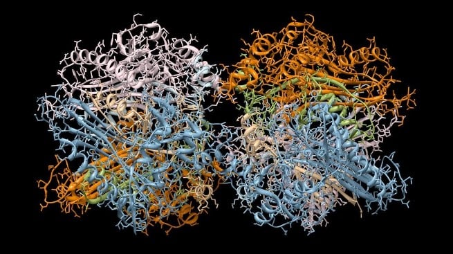 Figure 3 – Representation of the 3D protein structure of immunoglobulin (AI and You: Expect More Fake AI Images; OpenAI-Musk, OpenAI-NYT Battles Continue)