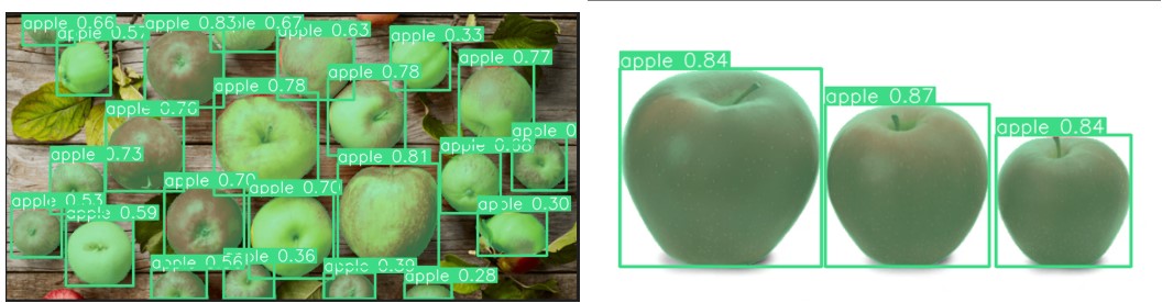 Output Images of YOLOv8 Instance Segmentation.