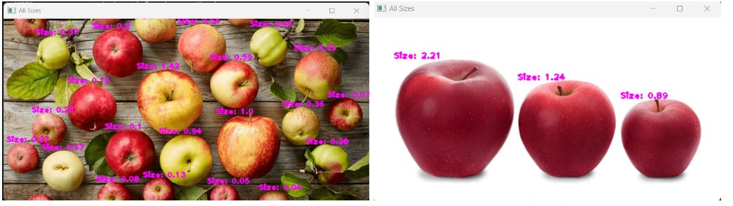 Calculate and Display Apples of All Sizes.