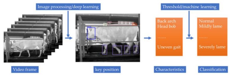 The process of detection (2D) | Source: National Library of Medicine